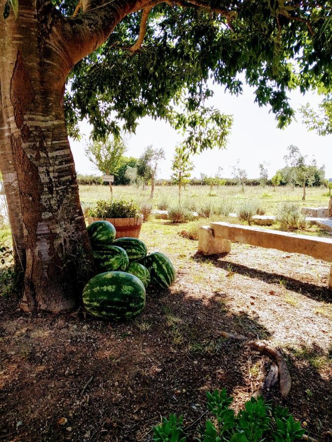 Masseria Cataldo Corigliano dʼOtranto Buitenkant foto