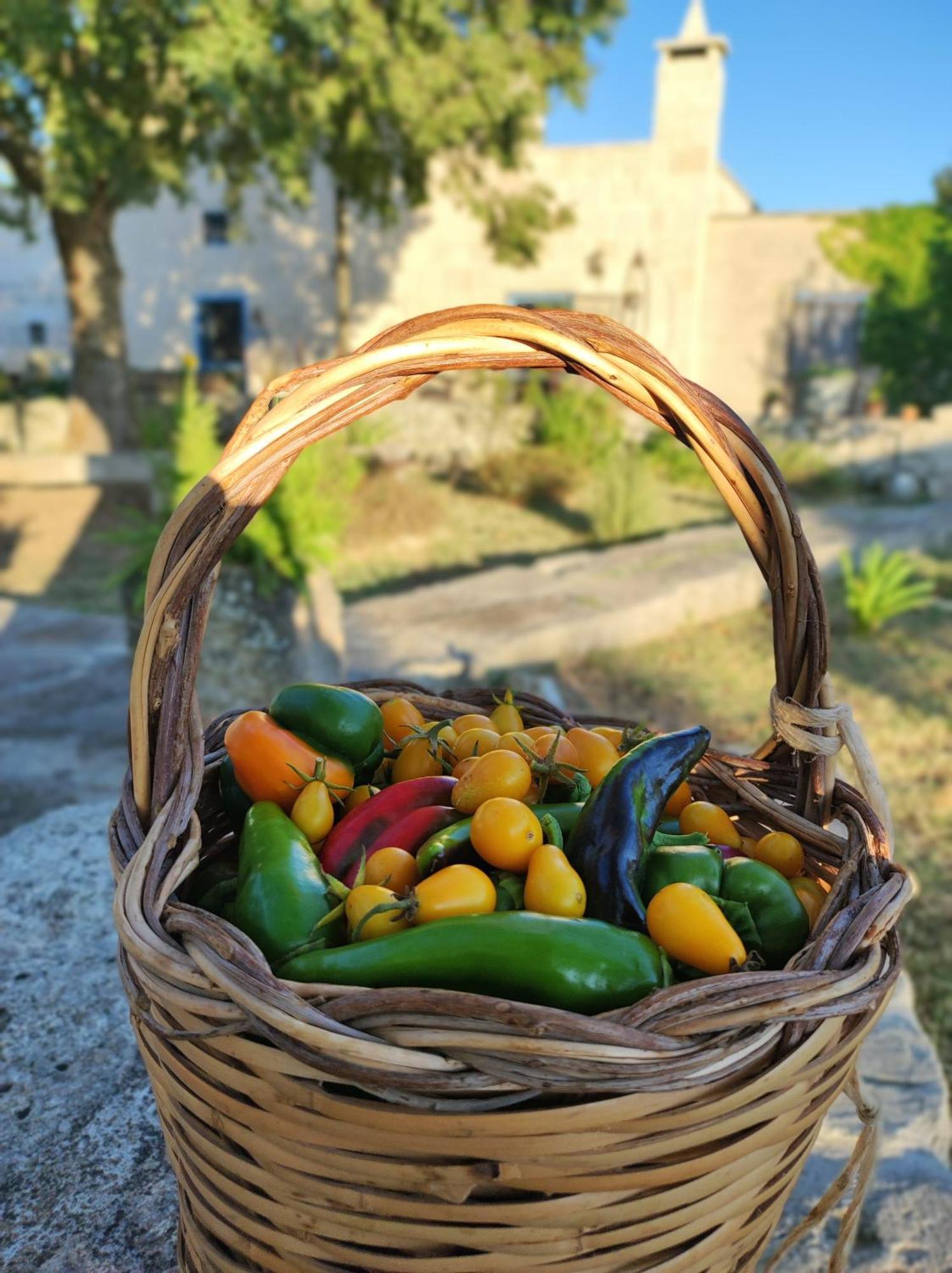 Masseria Cataldo Corigliano dʼOtranto Buitenkant foto