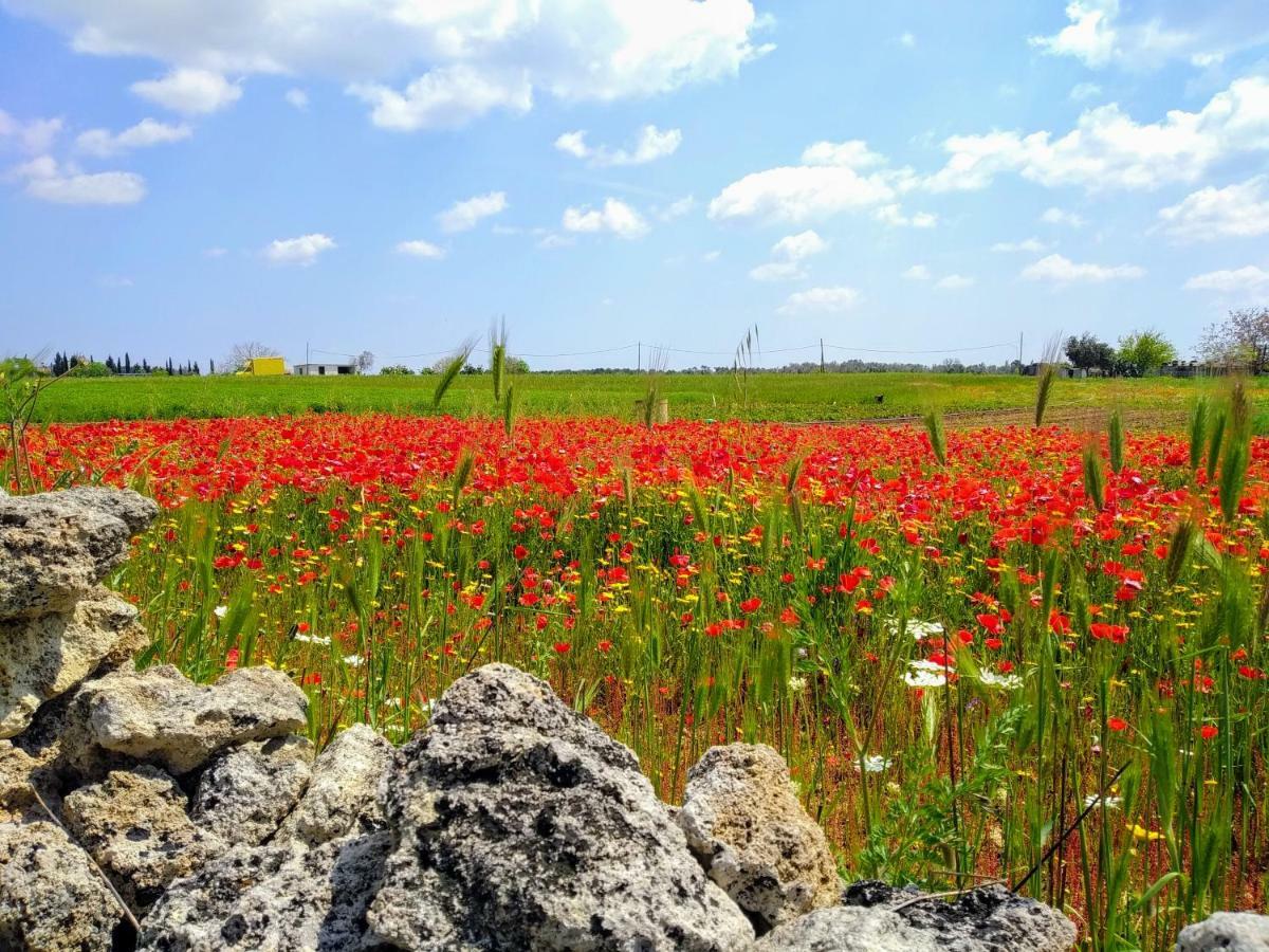 Masseria Cataldo Corigliano dʼOtranto Buitenkant foto
