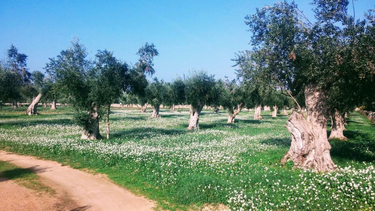Masseria Cataldo Corigliano dʼOtranto Buitenkant foto